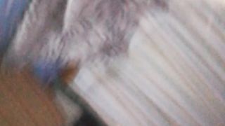 SCOPO PATRIZIA A PECORINA