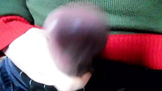 Sega dedicata ad Alesili