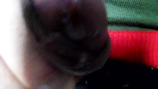 Sega dedicata ad Alesili