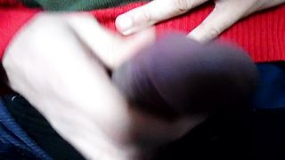 Sega dedicata ad Alesili