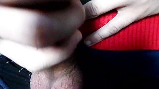 Sega dedicata ad Alesili