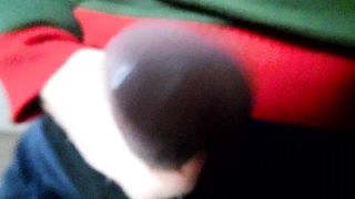 Sega dedicata ad Alesili