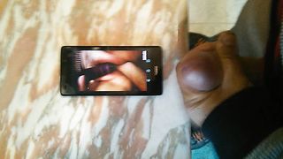 Sborratona per martasborratoio