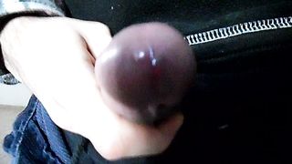 Sega dedicata a Anonimo1010