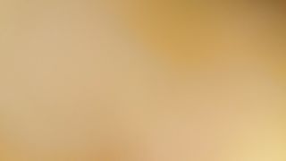 Gli faccio un pompino