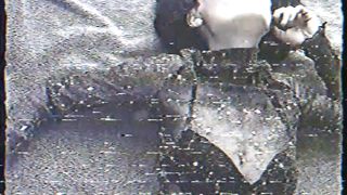 Lola scopata dal suo uomo mentre sega l'amico