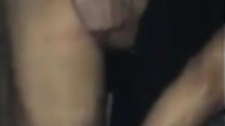 Amica napoletana maiala