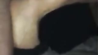 Amica napoletana maiala