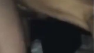 Amica napoletana maiala