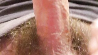 Anteprima del video: Re Uccello