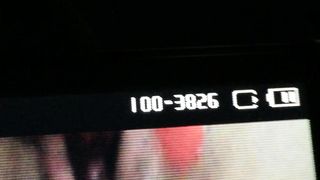 Con la mia ex porcellina