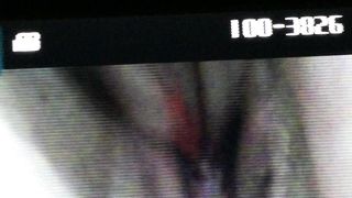 Con la mia ex porcellina