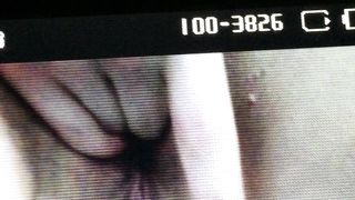 Con la mia ex porcellina