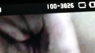 Con la mia ex porcellina