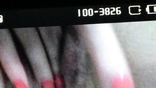 Con la mia ex porcellina