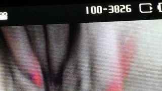 Con la mia ex porcellina