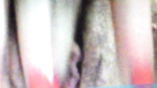 Con la mia ex porcellina