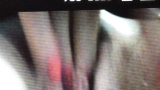 Con la mia ex porcellina