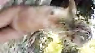 Bionda con grandi tette scopata amatoriale