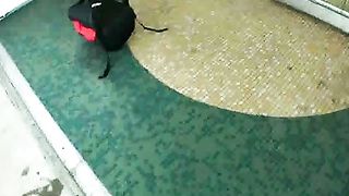 Bella troia latina amatoriale