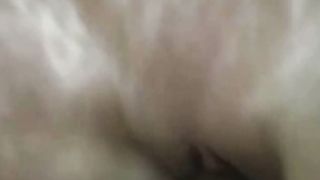 Electra Angel porno amatoriale