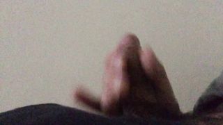 Seghetta pomeridiana