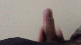 Seghetta pomeridiana