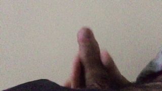 Seghetta pomeridiana