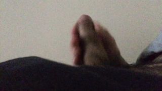 Seghetta pomeridiana