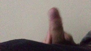 Seghetta pomeridiana