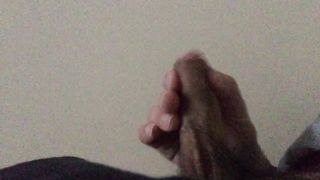 Seghetta pomeridiana