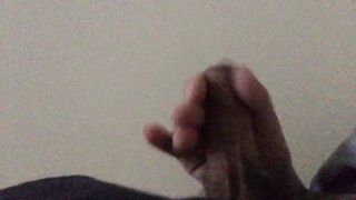 Seghetta pomeridiana