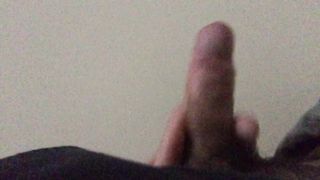 Seghetta pomeridiana