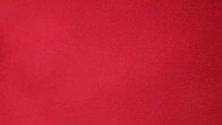 Kamasutra del capoufficio con la segretaria