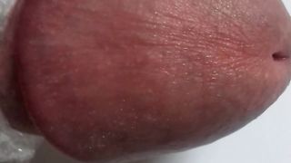 Cazzo grosso e largo con primo piano della cappella