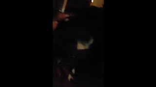 Il marito lavora e lei mi spompina