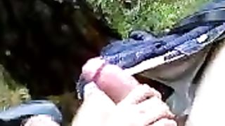 Come le piace pompare