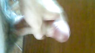 SEGA DEDICATA ALLE MOGLI E AI MARITINI FROCI