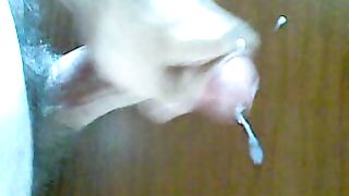 SEGA DEDICATA ALLE MOGLI E AI MARITINI FROCI