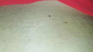 Prima volta in culo per lei