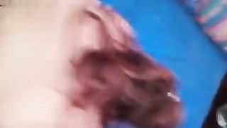 Lisa la vacca troiona di Pescara