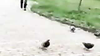 Col cazzo di fuori davanti ad una studentessa