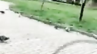 Col cazzo di fuori davanti ad una studentessa