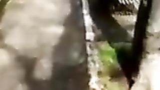 Passeggio col cazzo di fuori davanti alle ragazzine