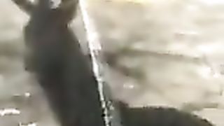 Passeggio col cazzo di fuori davanti alle ragazzine