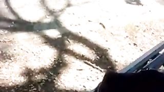 Sborro al parco davanti ad una studentessa