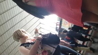 Maialona in Stazione a Roma