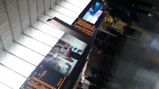 Maialona in Stazione a Roma