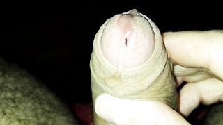 Il mio giocattolo è a vostra disposizione