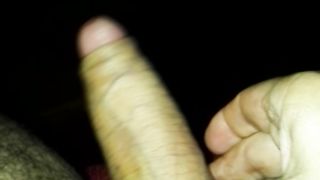 Il mio giocattolo è a vostra disposizione